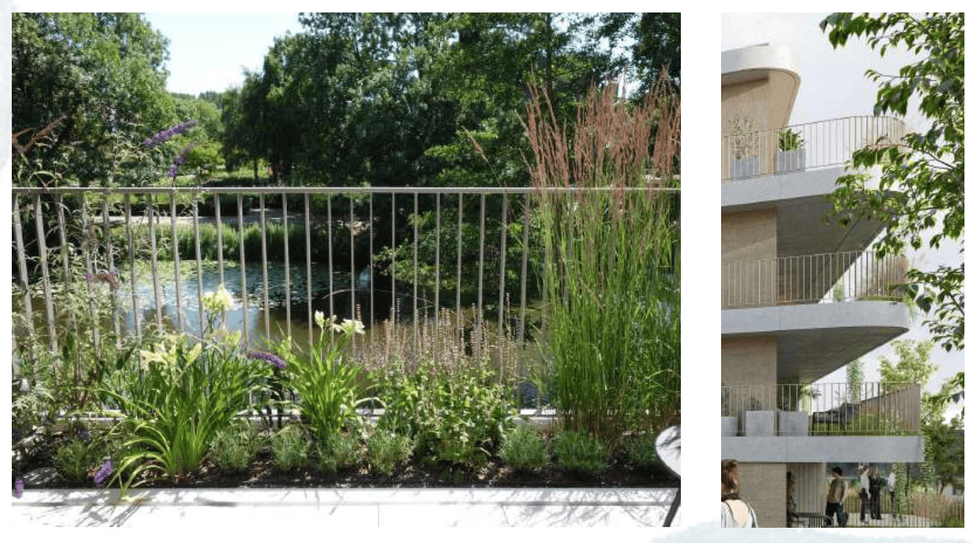 04_msrarchitecture_logementcollectif_Ploemeur_BoisPin